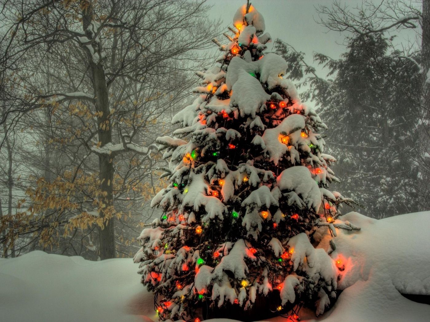 Christmas Trees Snow Wallpapers - Wallpaper Cave