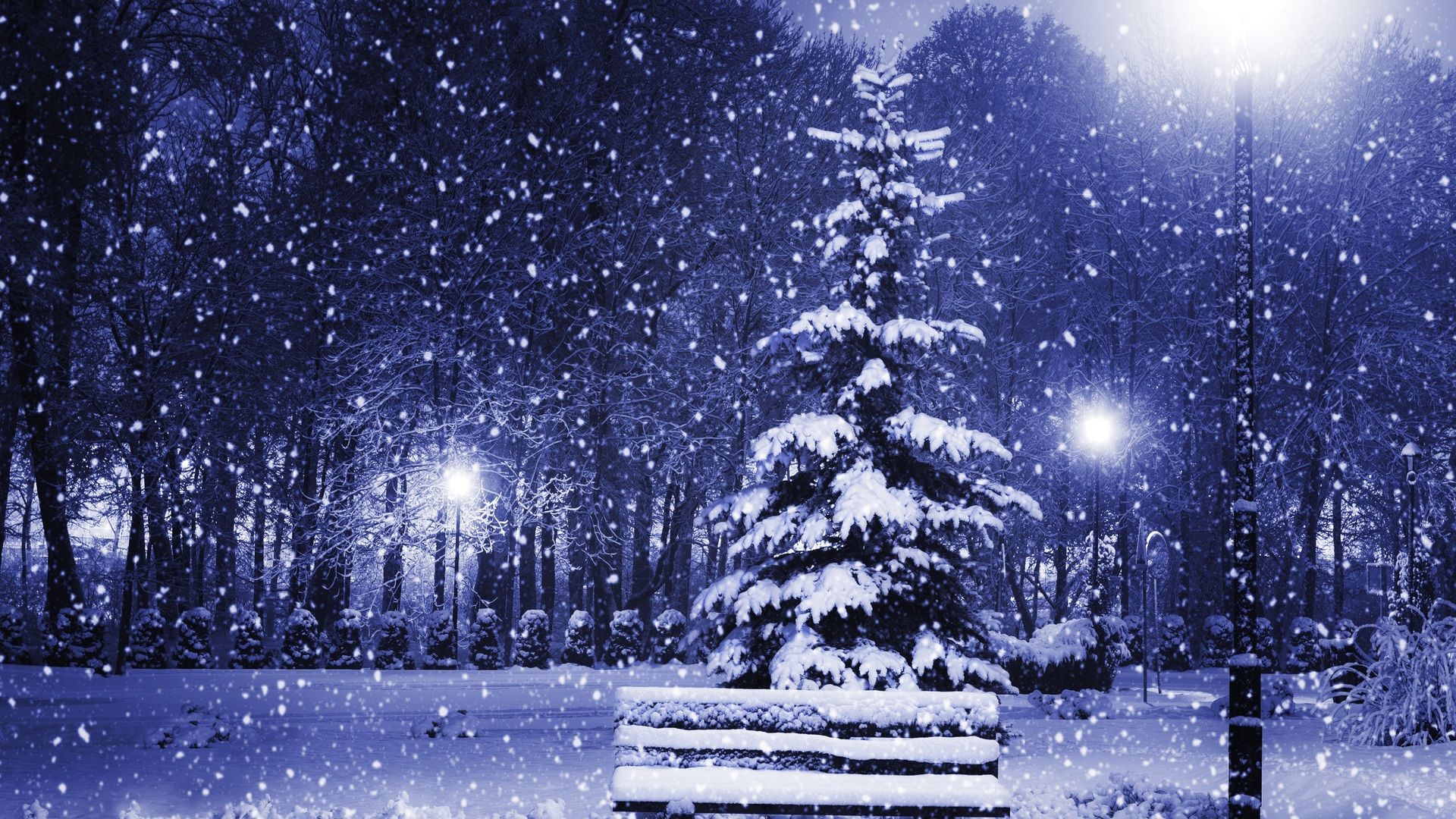 new year, snow, magic christmas night, christmas tree, town, winter, trees, nature, merry christmas desktop wallpaper 106385