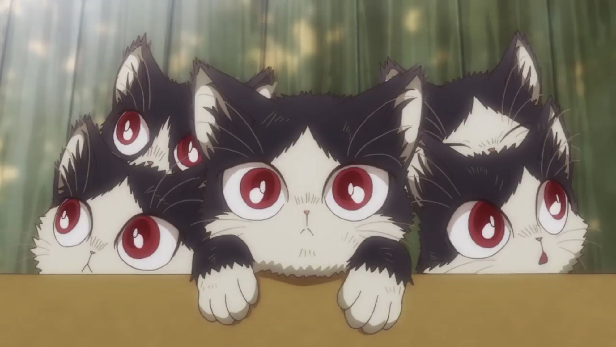 My Roommate is a Cat. Anime baby, Cat wallpaper, Anime