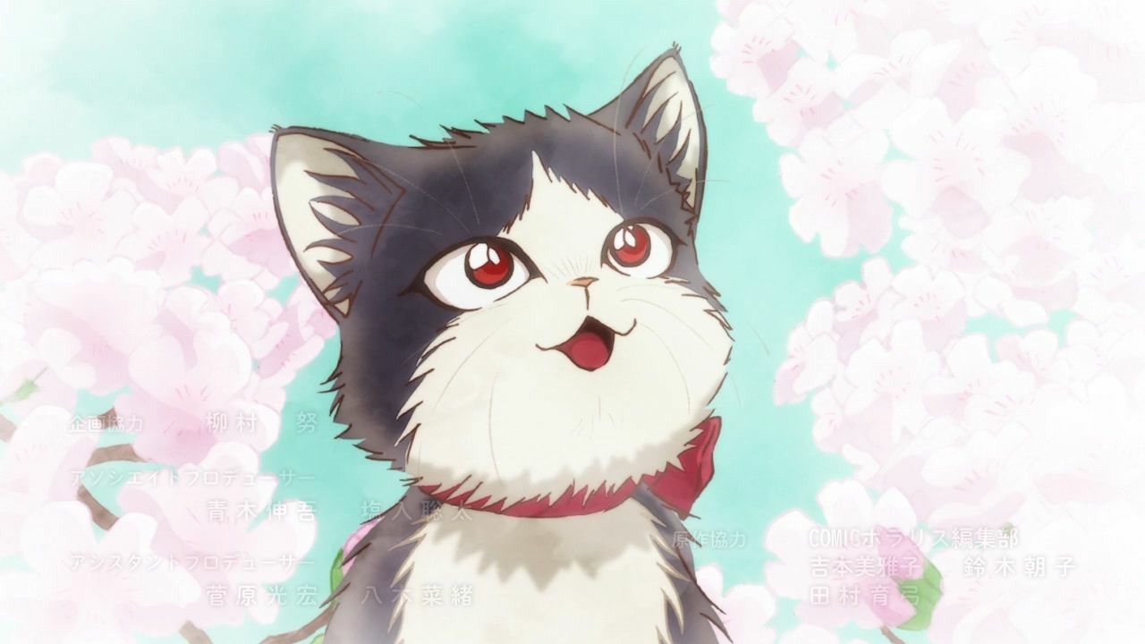 Haru Doukyonin wa Hiza, Tokidoki, Atama no Ue. Anime cat, Anime animals, Anime