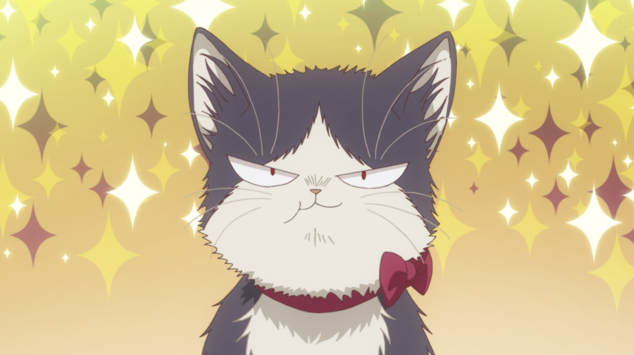 My Roommate Is A Cat Wallpapers - Wallpaper Cave - Anime Like My Roommate Is A Cat