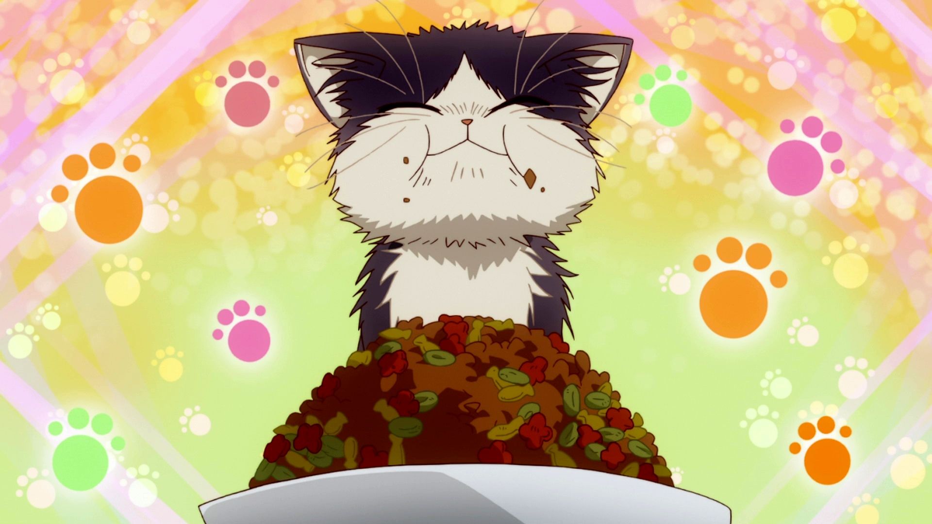 My Roommate Is A Cat Wallpapers Wallpaper Cave My Roommate Is A Cat Wallpapers Wallpaper Cave
