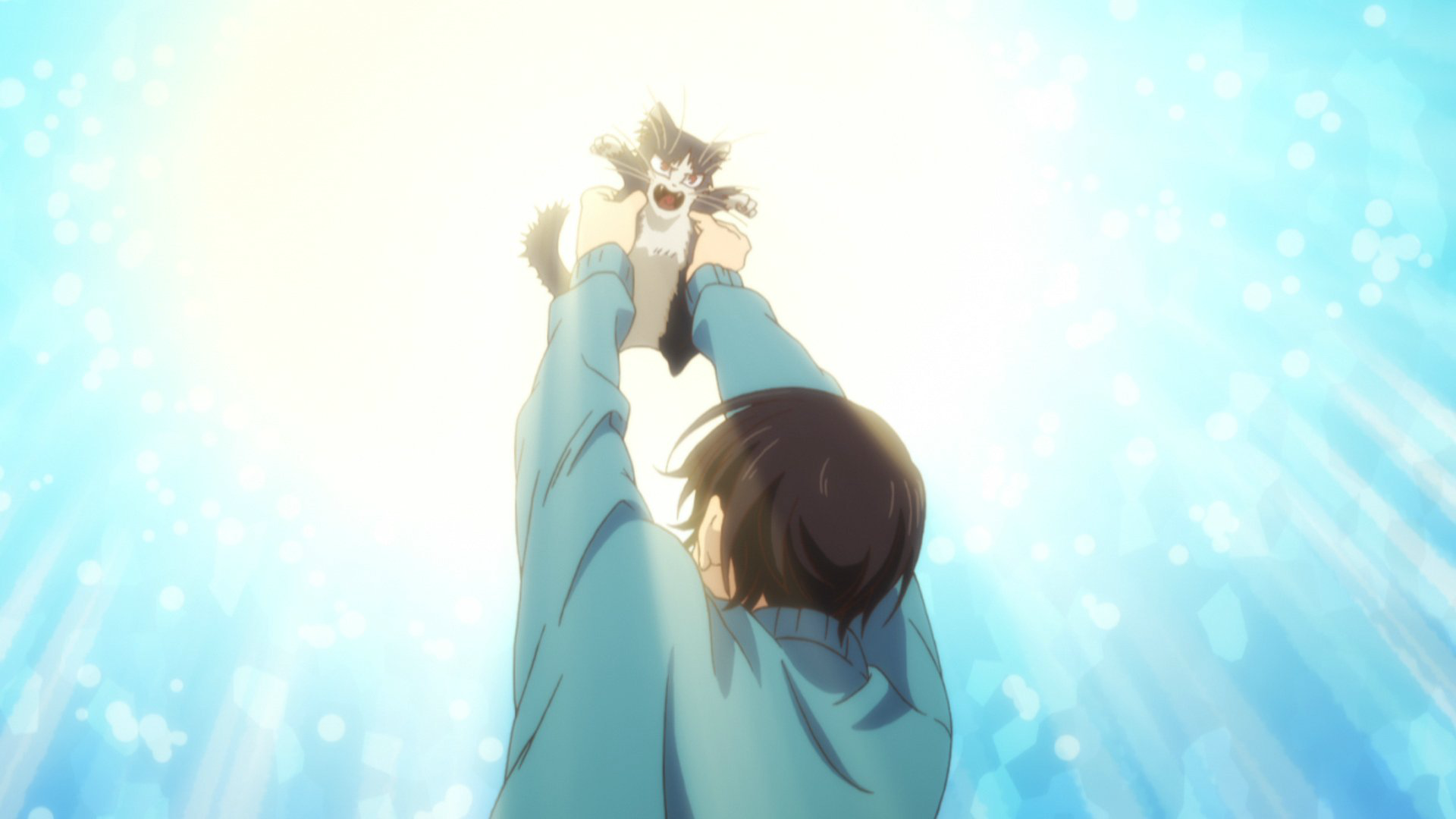 Episode 1. My Roommate is a Cat