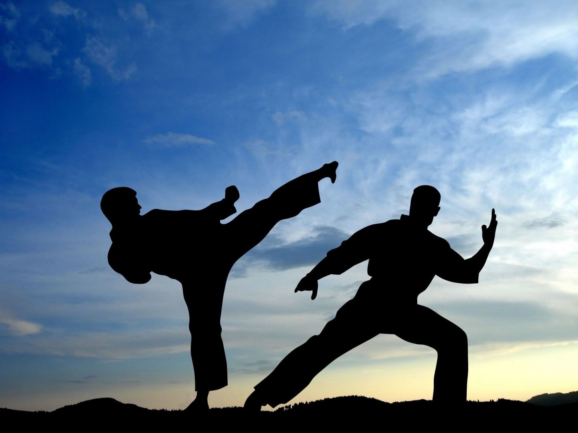 Martial Arts Wallpaper