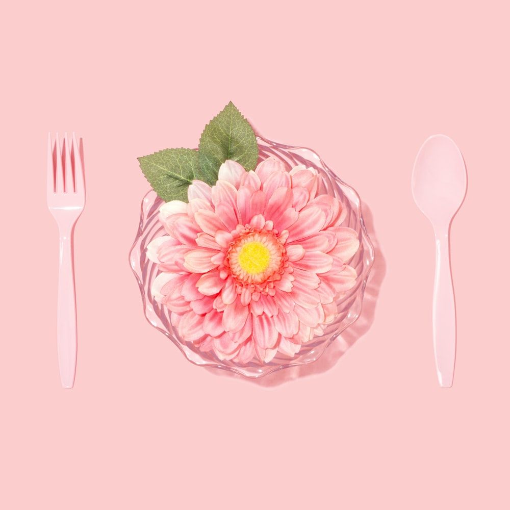 flat lay photography of disposable spoon, fork, and pink petaled flower photo