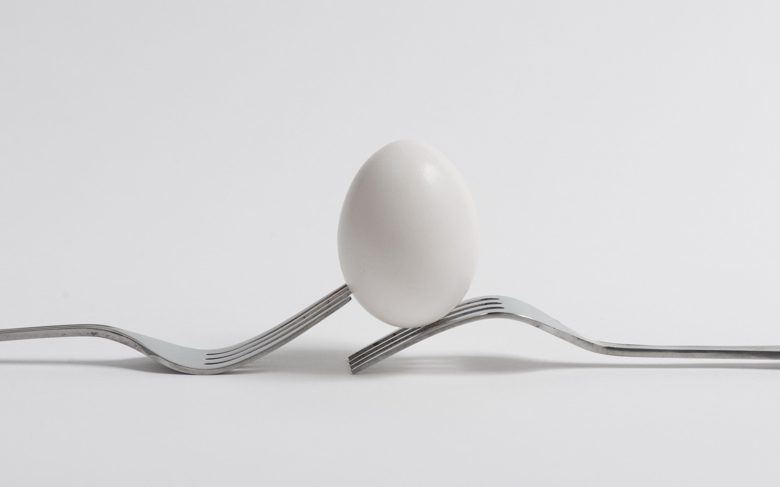 Egg and forks wallpaper and image, picture, photo