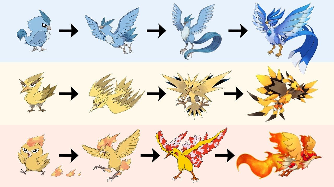All Legendary Birds Evolution. Pokemon Gen 8 Fanart