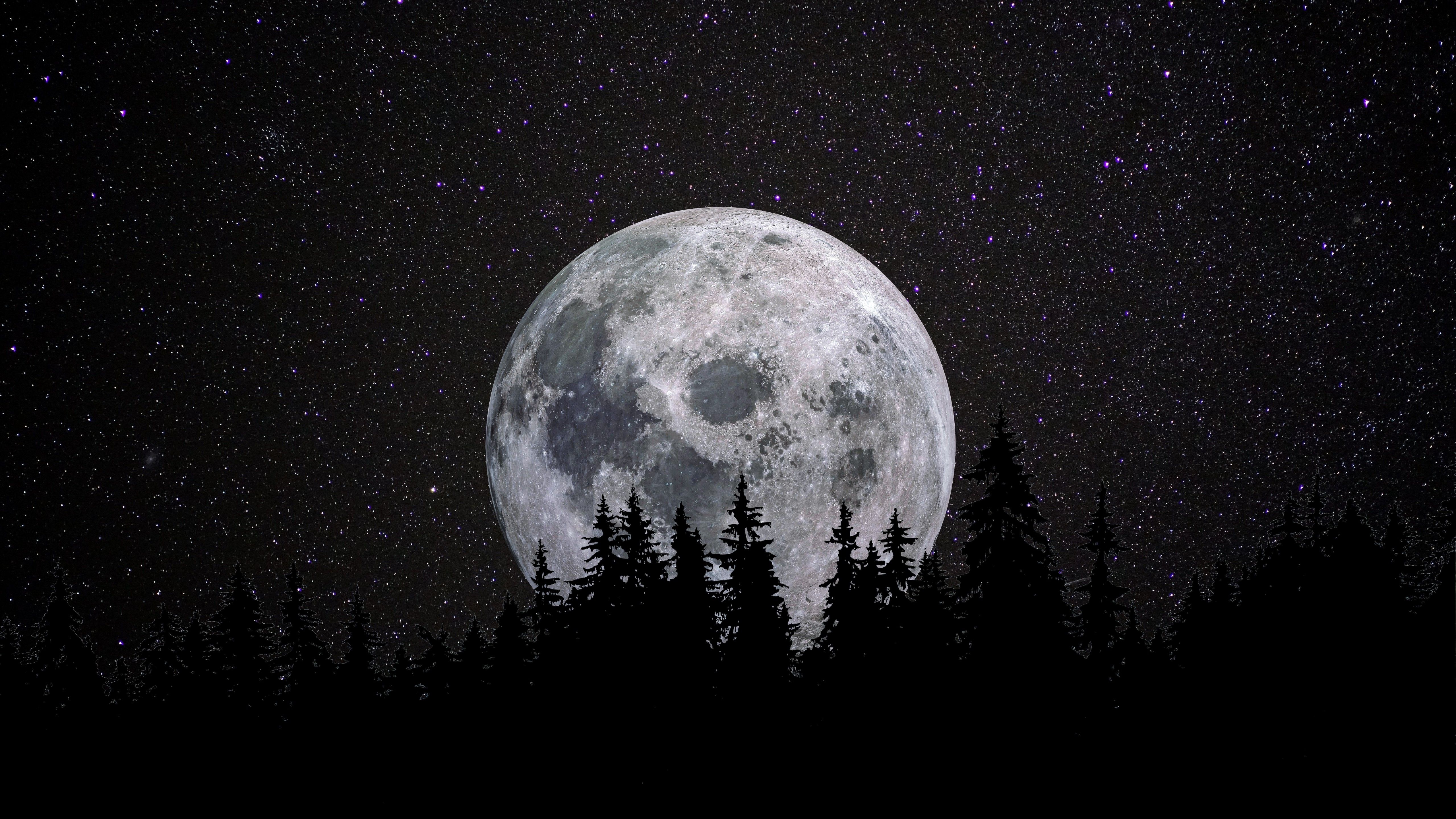 Full moon 4K Wallpaper, Forest, Night, Dark, Starry sky, 5K, 8K, Nature