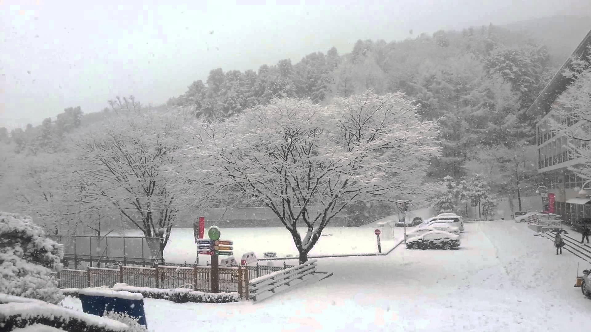 Южная Корея Кёнджу зима