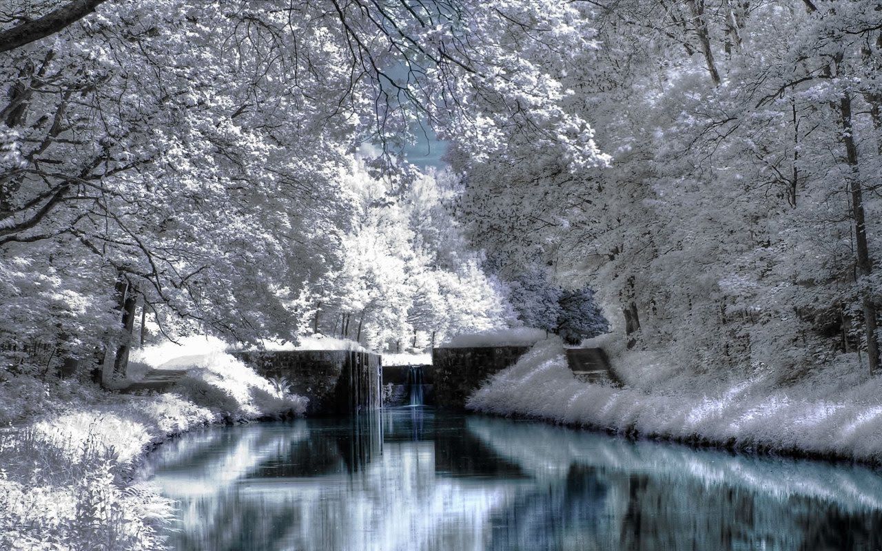 Winter Scenery wallpaperx800