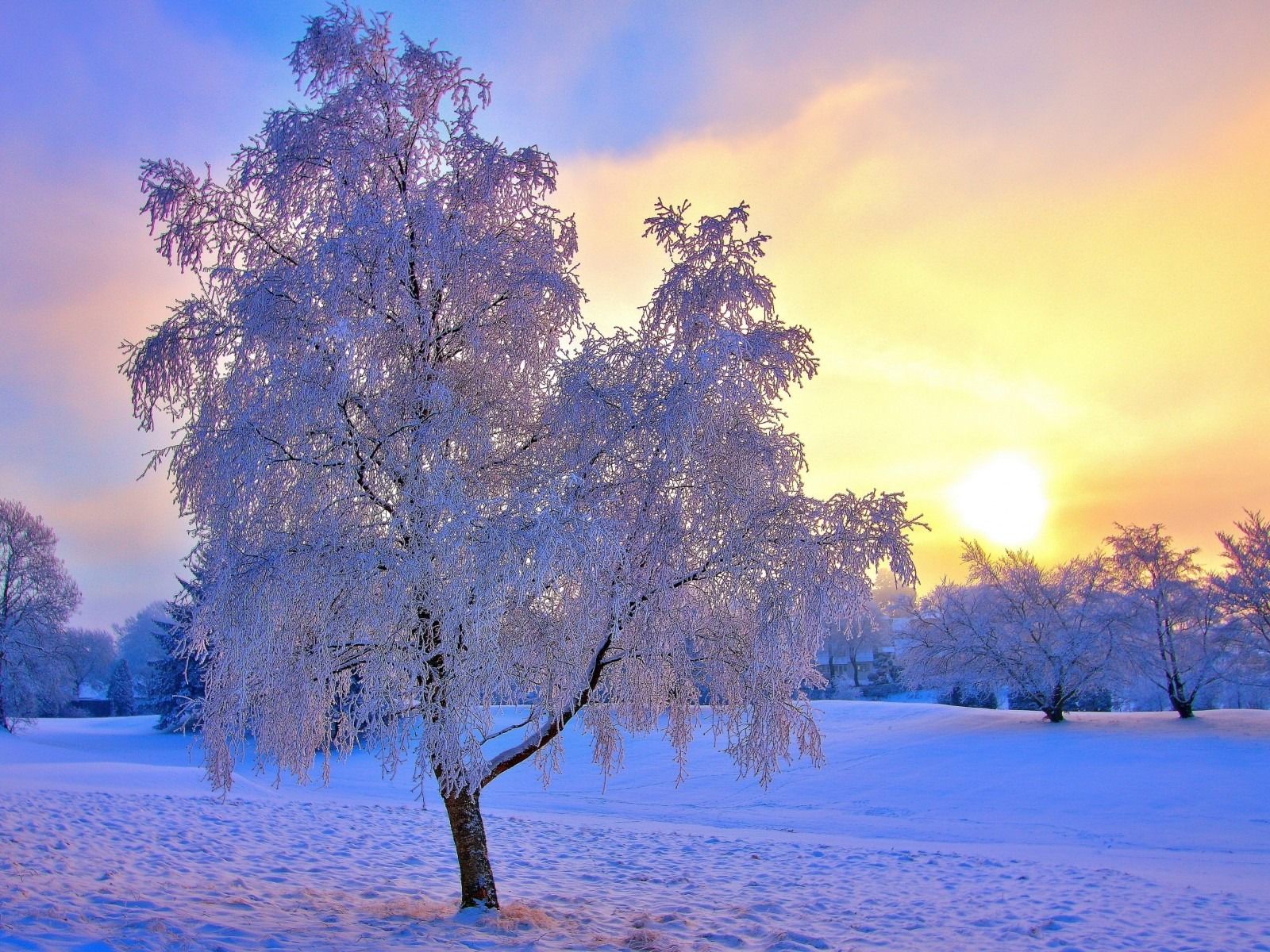 Beautiful Winter Landscape wallpaperx1200