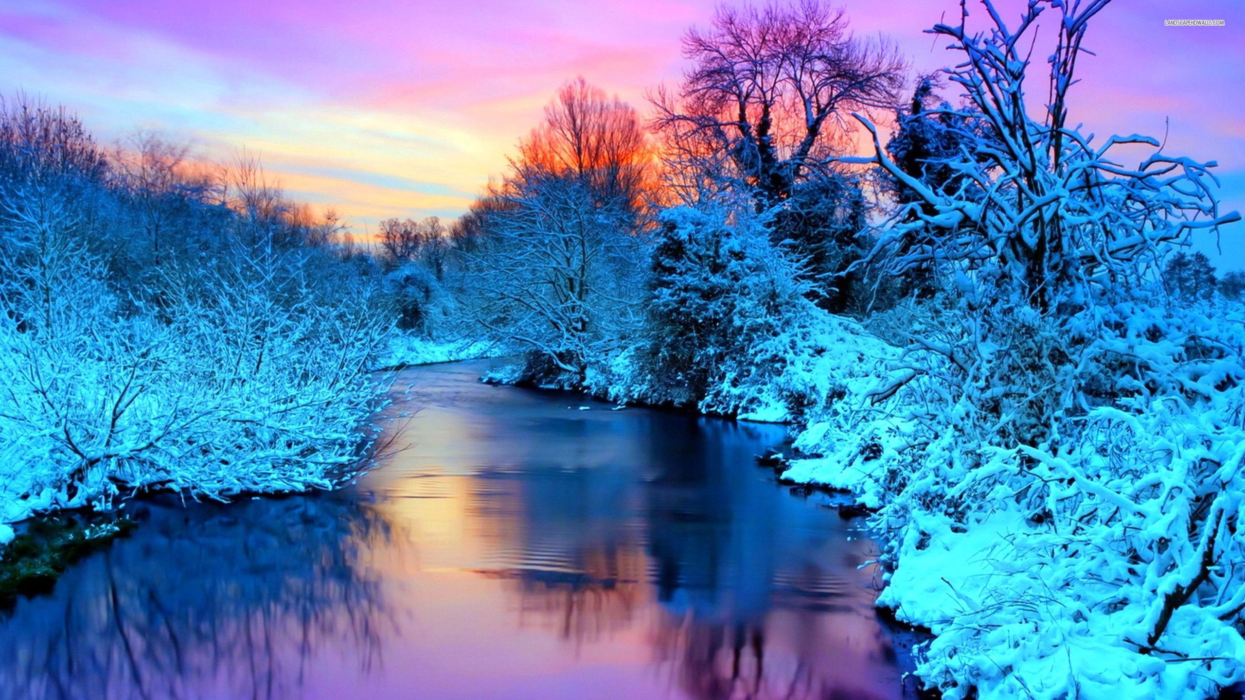 winter nature scenery