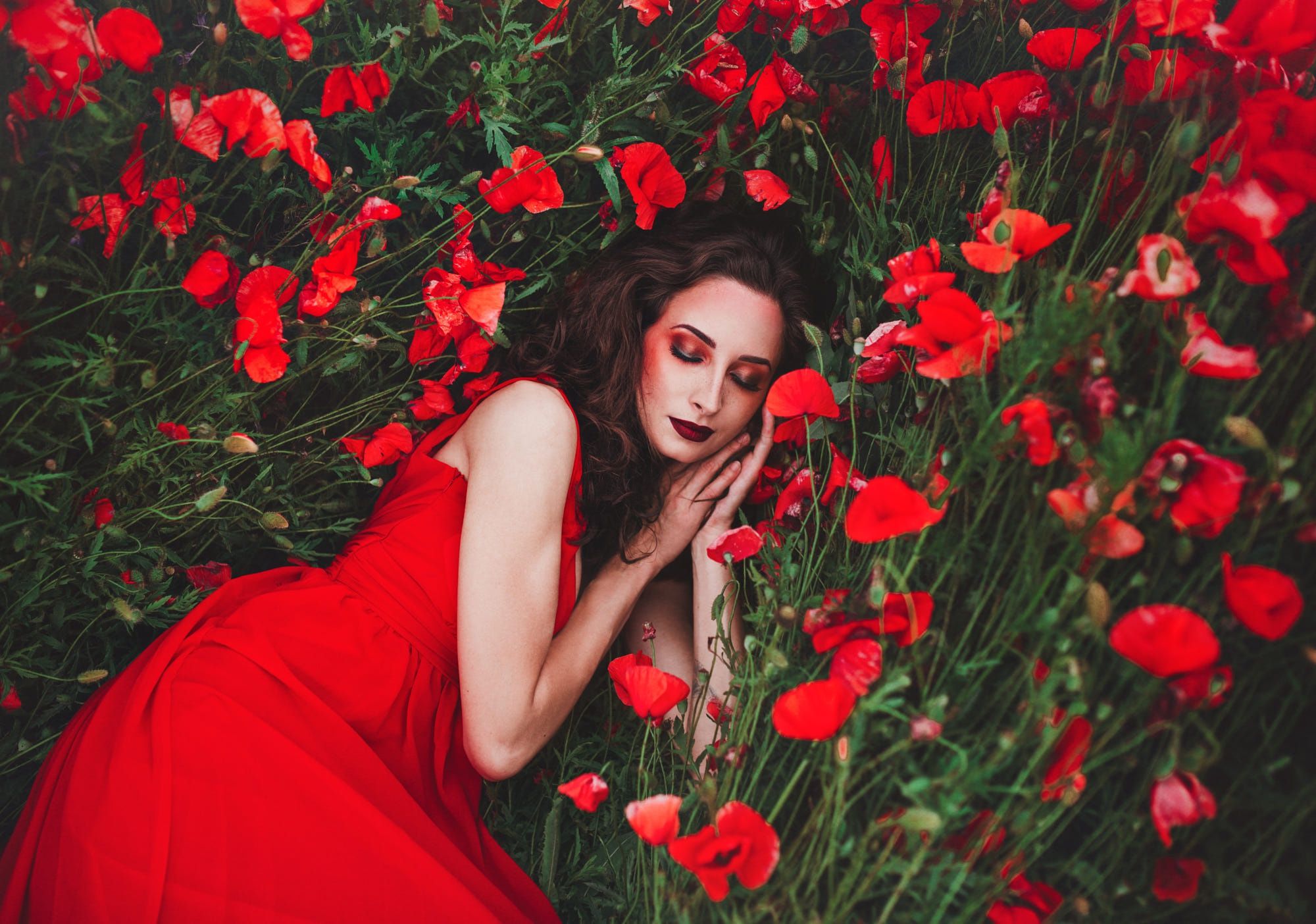 Women Mood Girl Flower Sleeping Red Dress Poppy Woman Model Black Hair Lipstick Red Flower HD Wallpaper Background Image