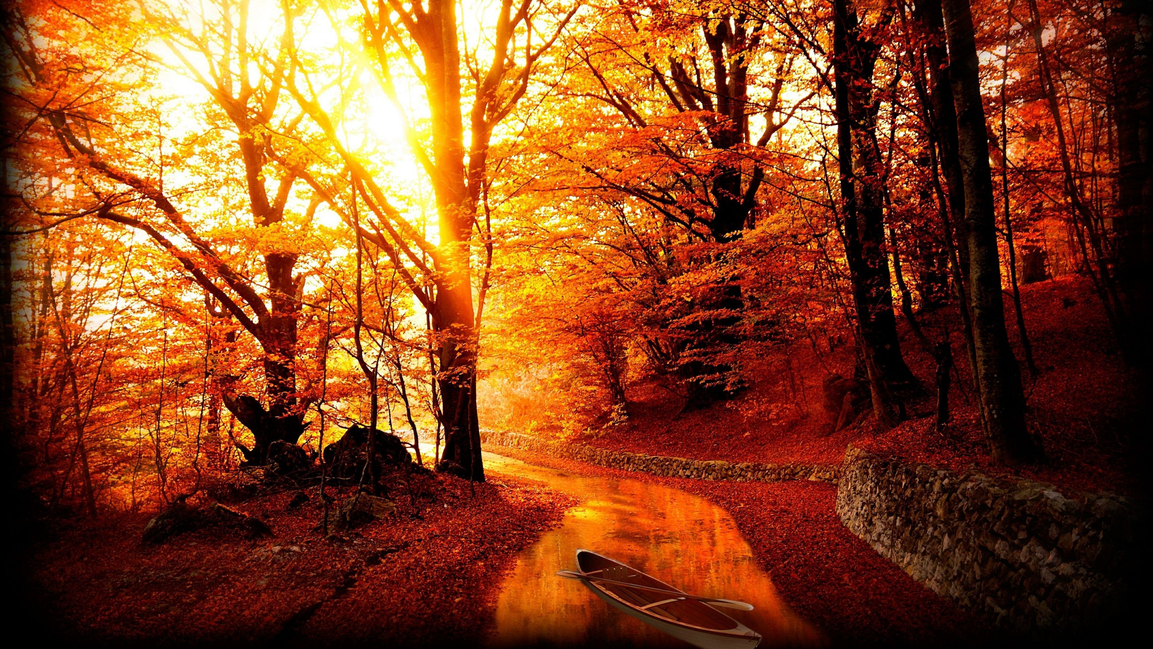 Forest Autumn Ultra HD Wallpapers - Wallpaper Cave