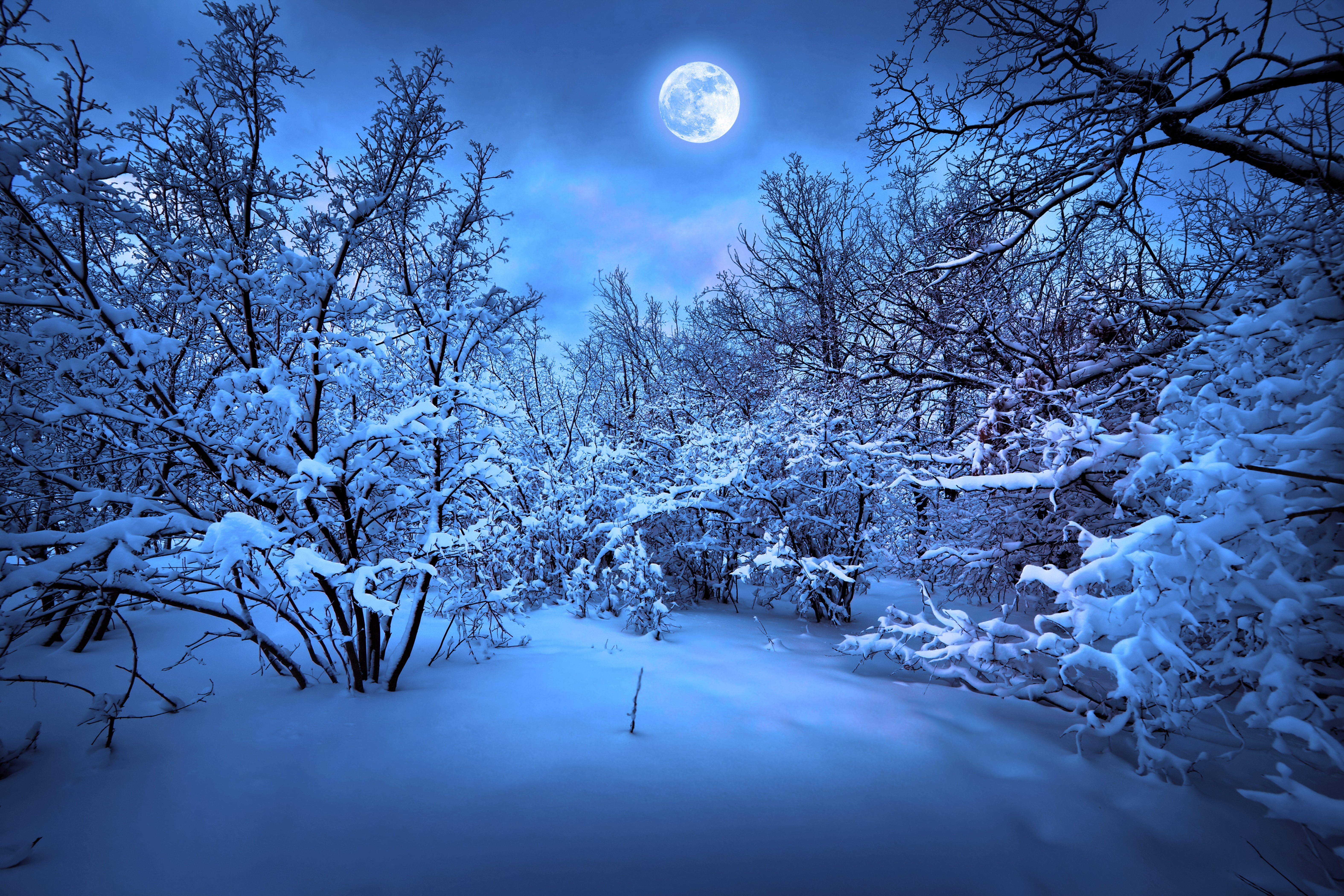 Winter Night Background