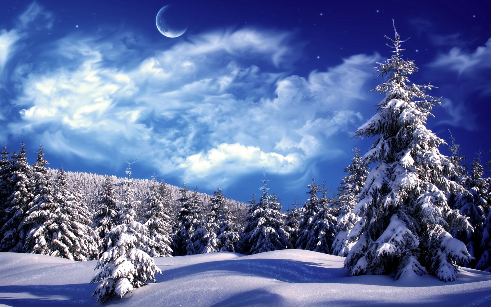 Blue magic winter night moon over the forest