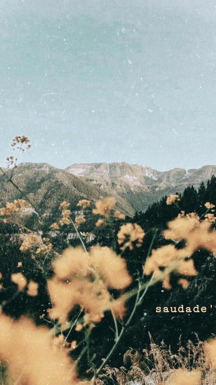 Saudade - özlem duymak. Aesthetic background, Landscape photography, Nature photography