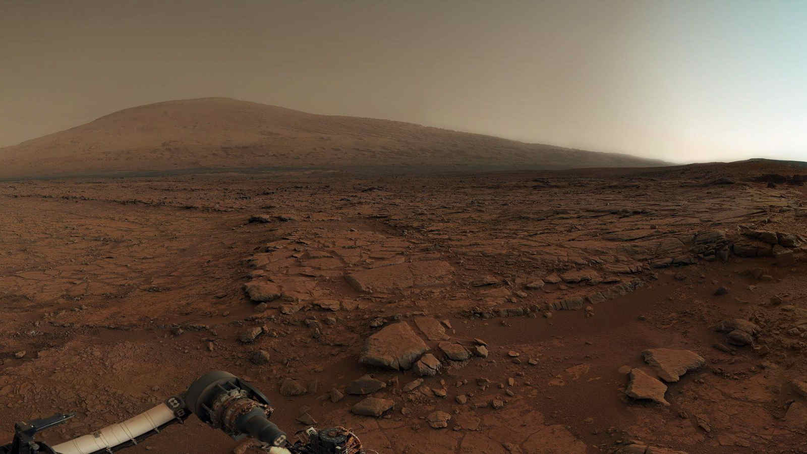 Mars rover picture: All the strangest image from the red planet