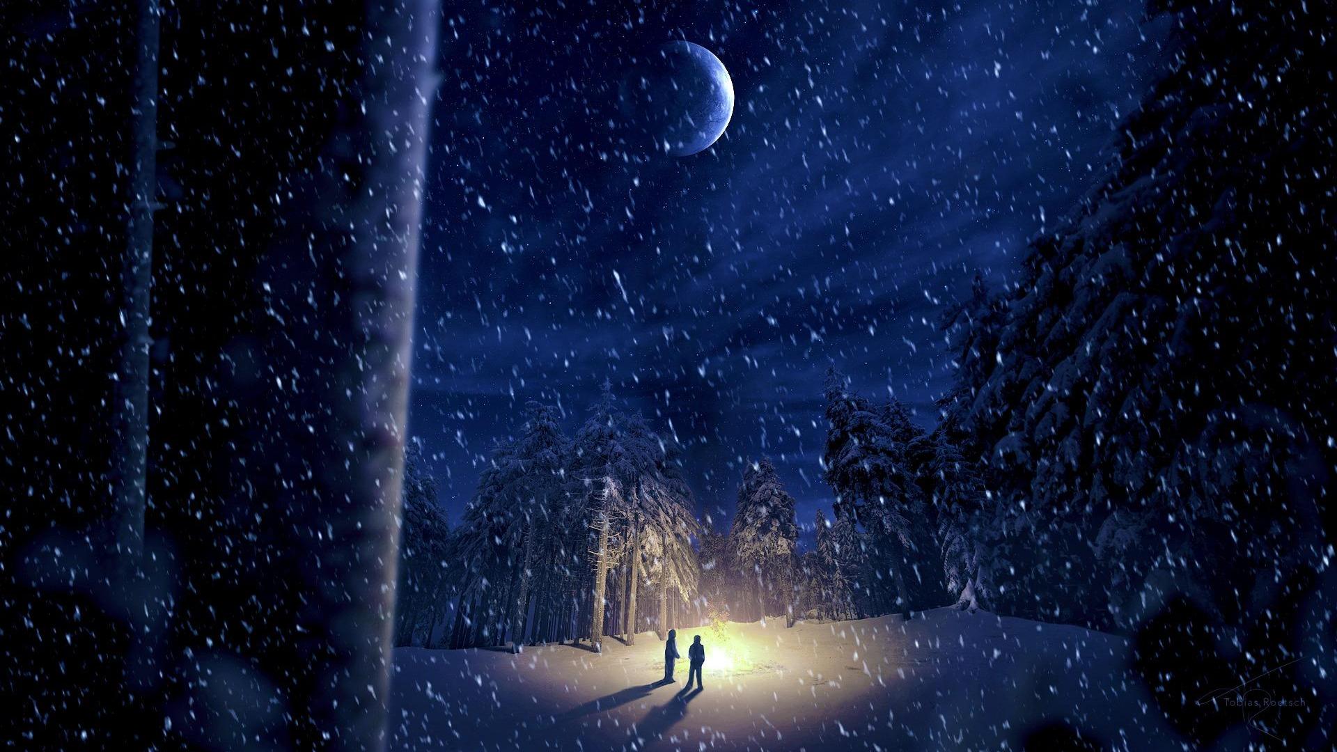 Winter Night In Moonlight Wallpaper For PC Wallpaper