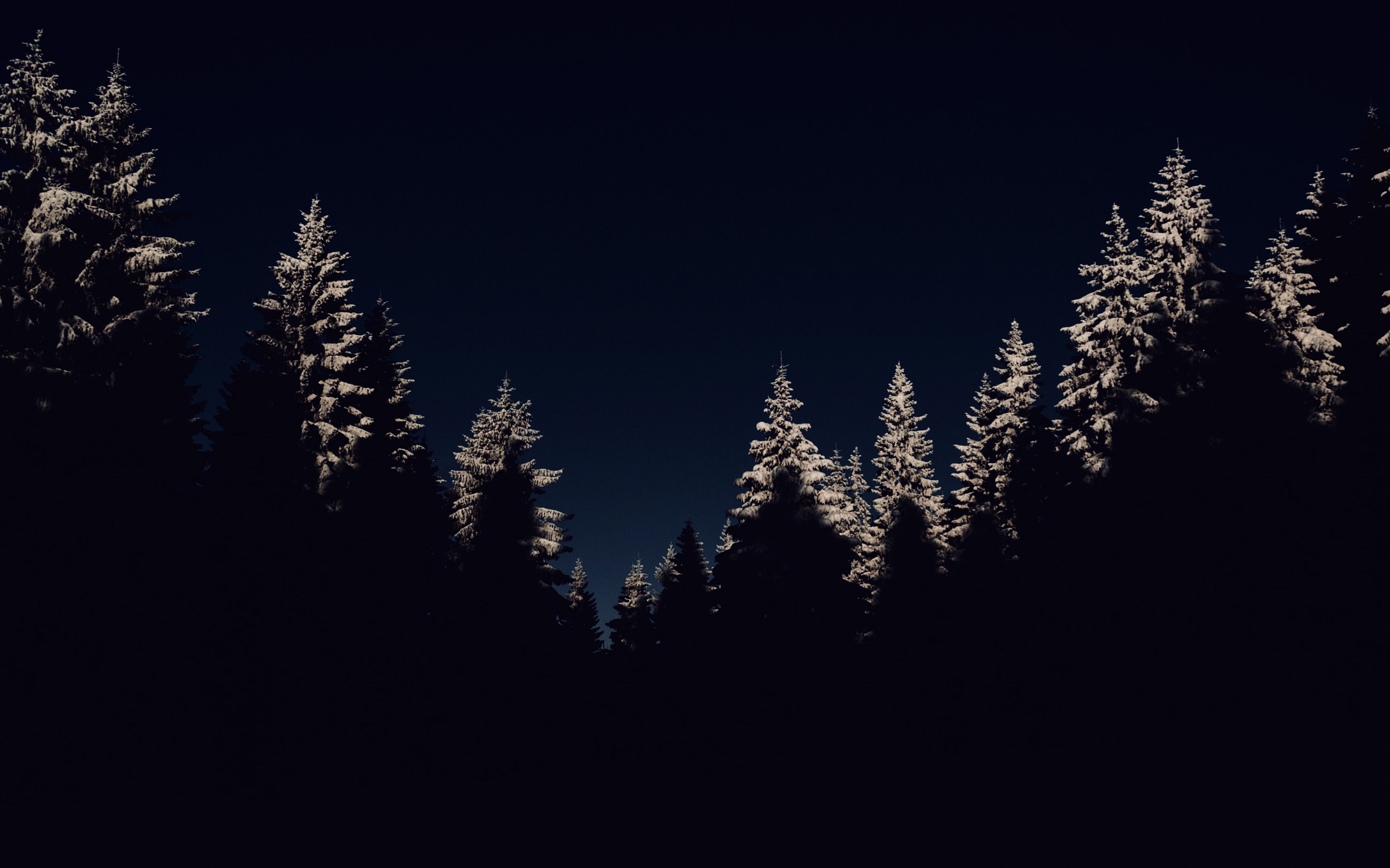 wallpaper for desktop, laptop. wood winter night mountain dark