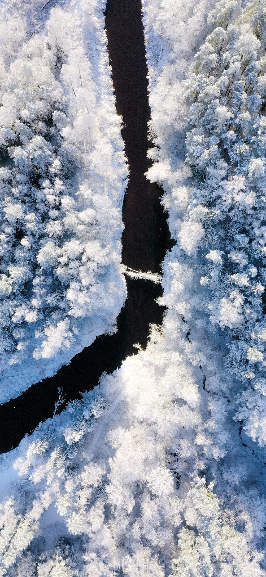 Snow, Winter, Freezing, Frost, Cloud, Apple iPhone 11 Pro wallpaper HD download, 1125x2436
