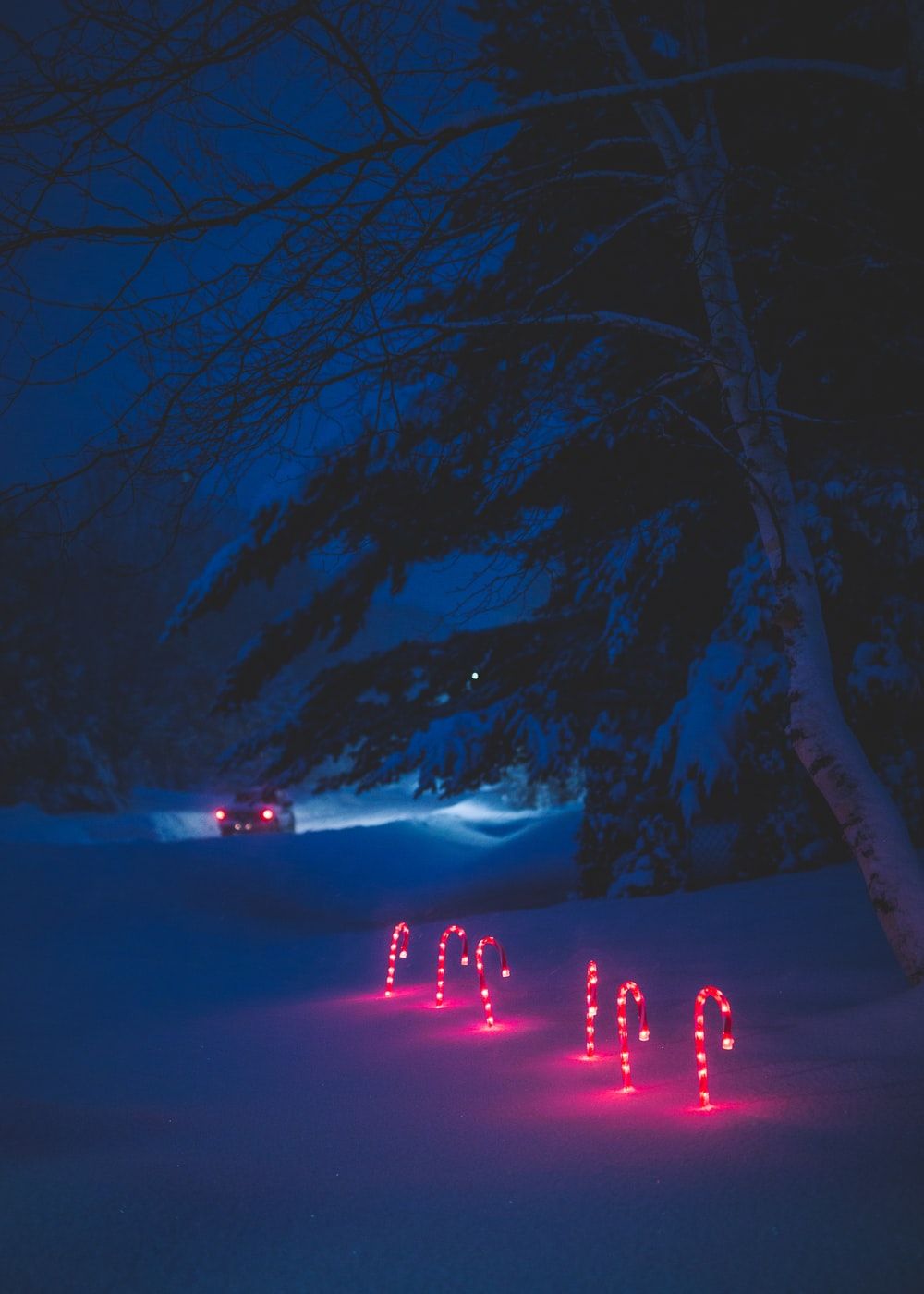 Winter Night Picture. Download Free Image