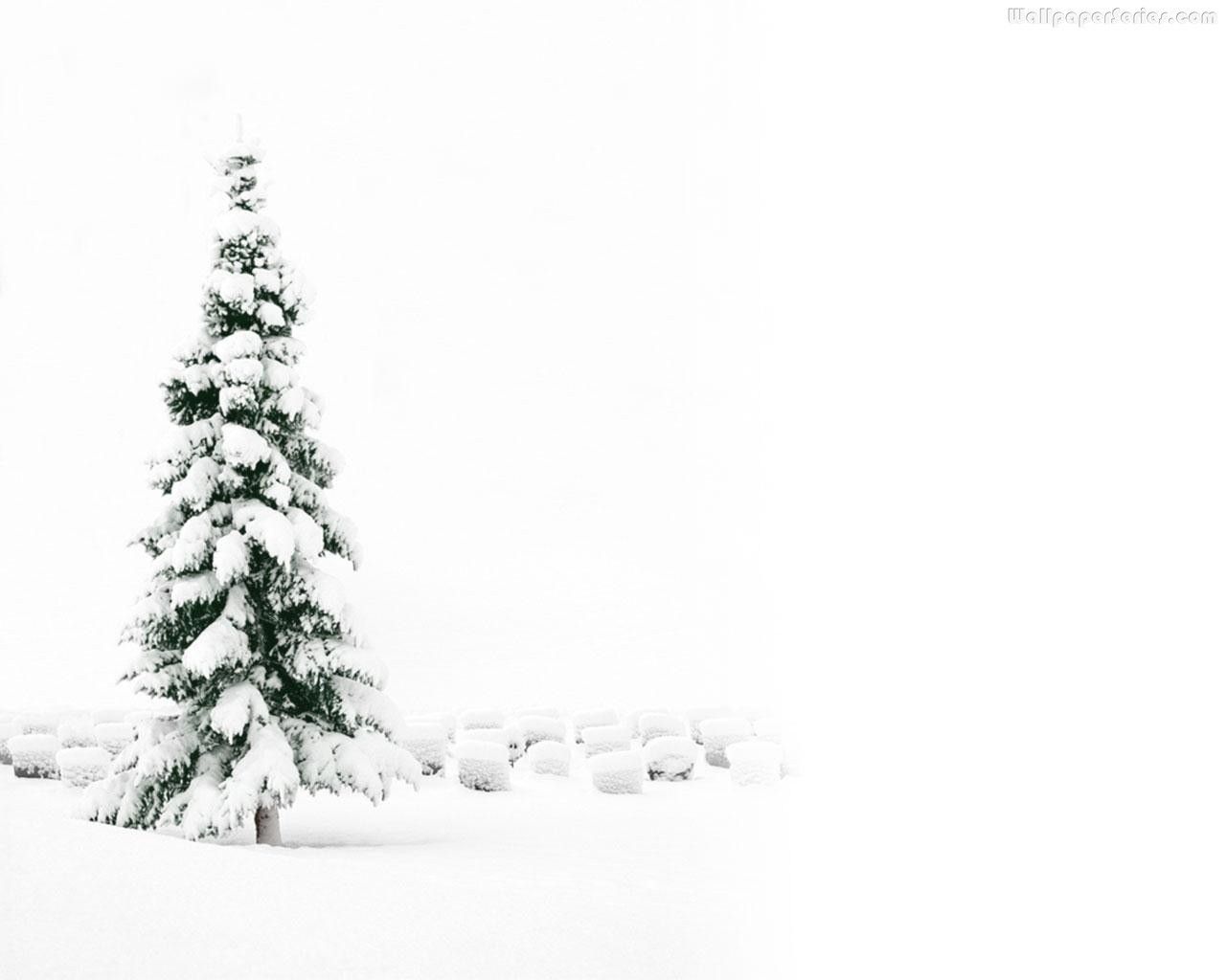 White Christmas Tree Wallpaper 02