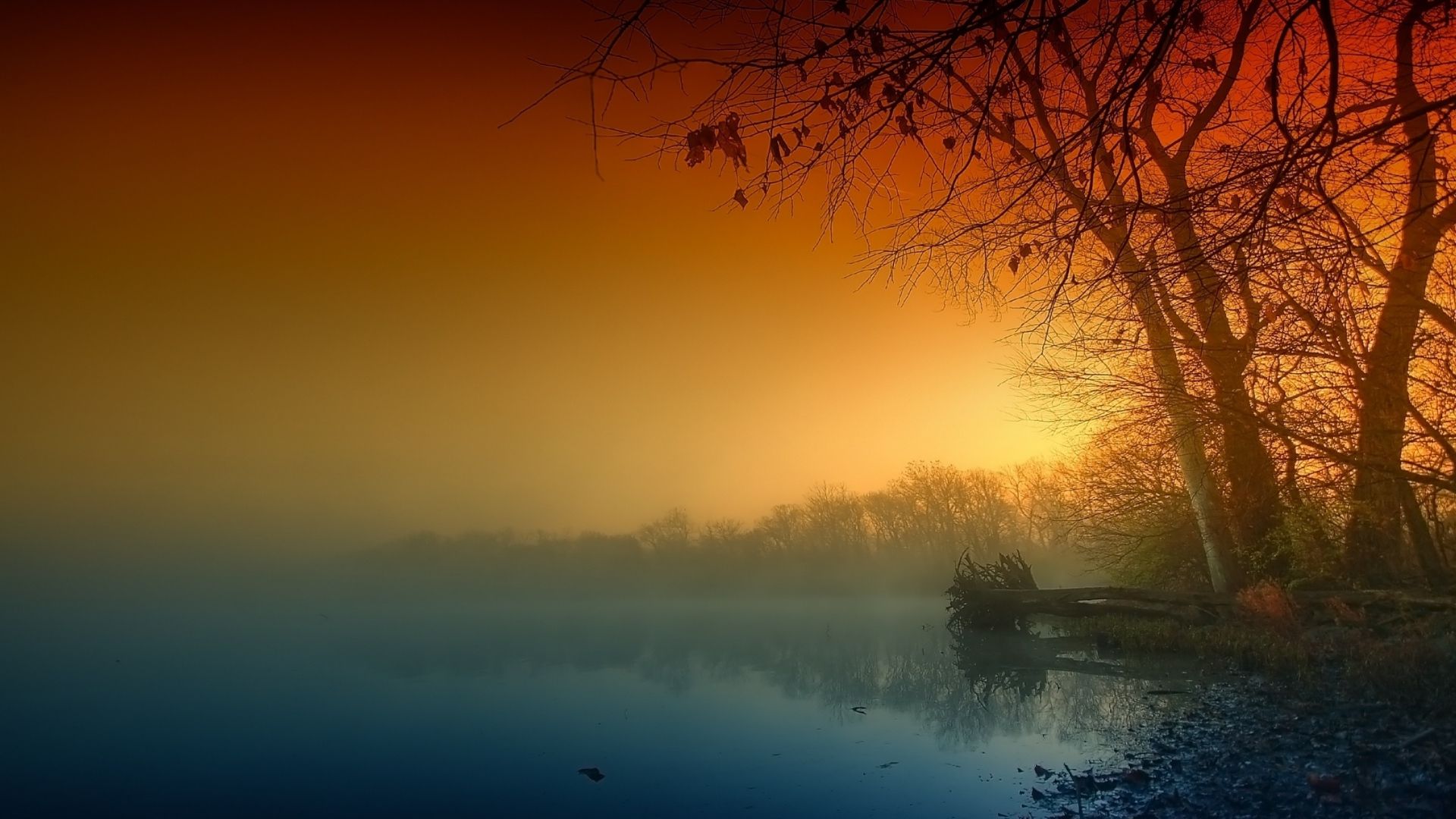 Download 1920x1080 HD Wallpaper fog calm lake forest autumn sadness, Desktop Background HD
