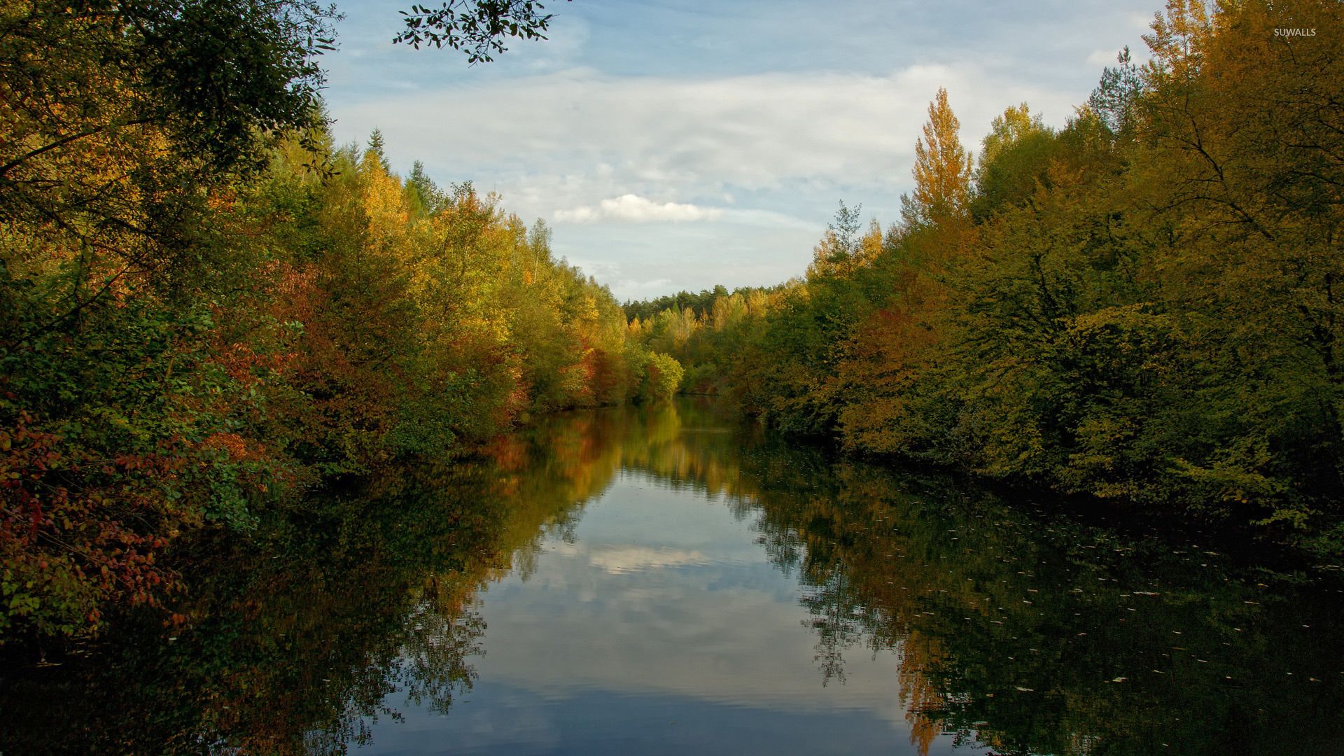 Calm river splitting the autumn forest wallpaper wallpaper