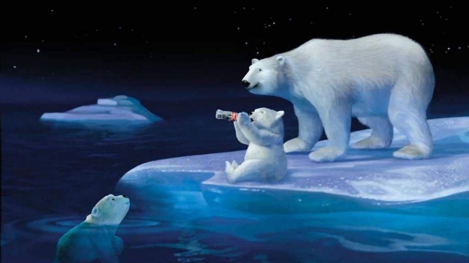 Zendha: Coca Cola Wallpaper Polar Bear