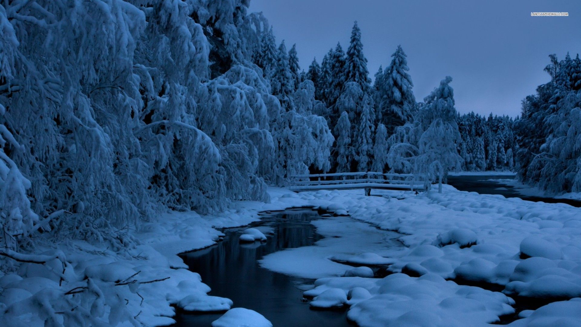 Winter Night Wallpaper