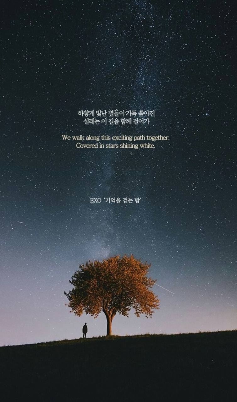 Exo Quotes Wallpaper