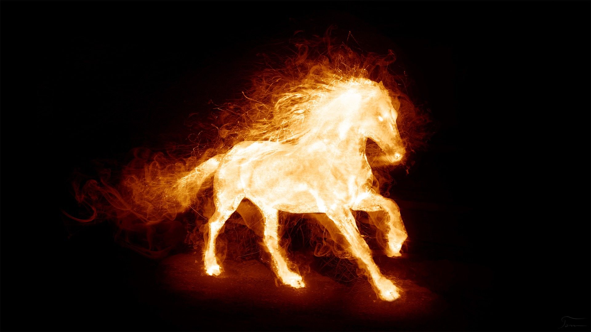 fire, horses wallpaper