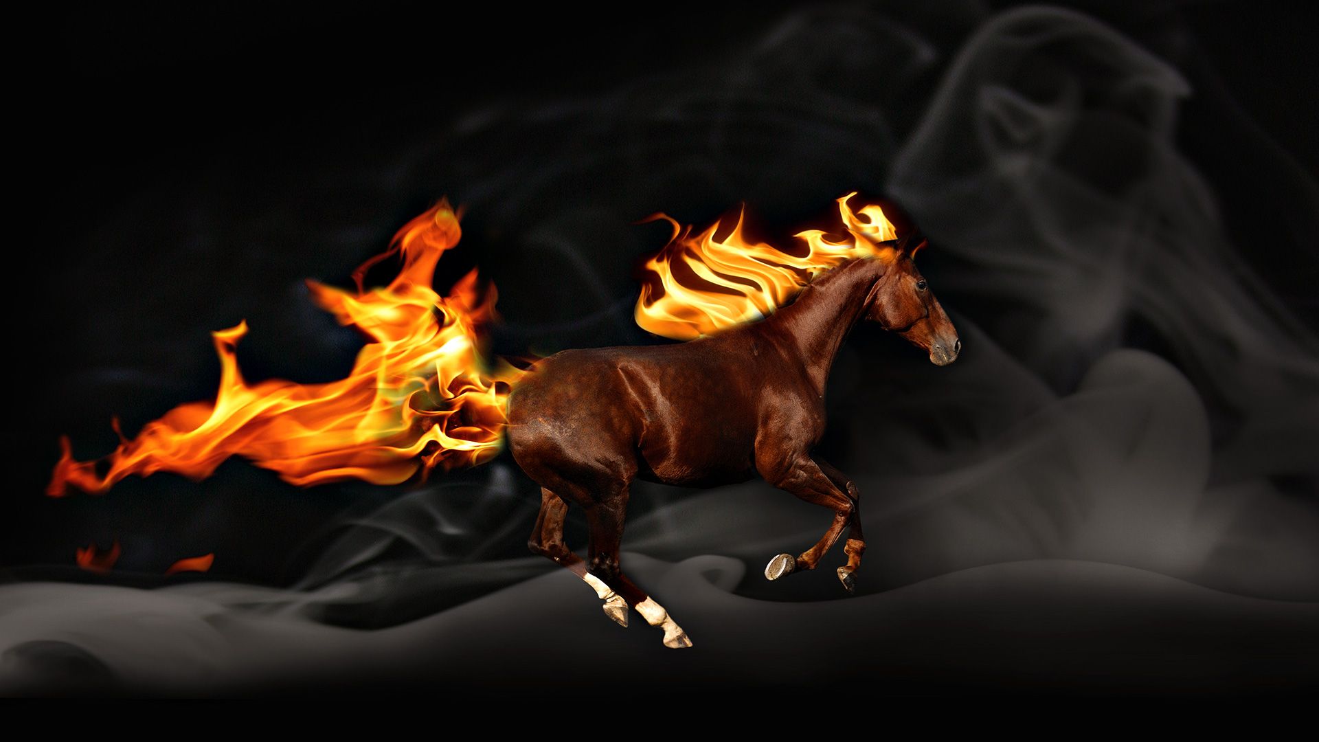 Black Horse With Fire