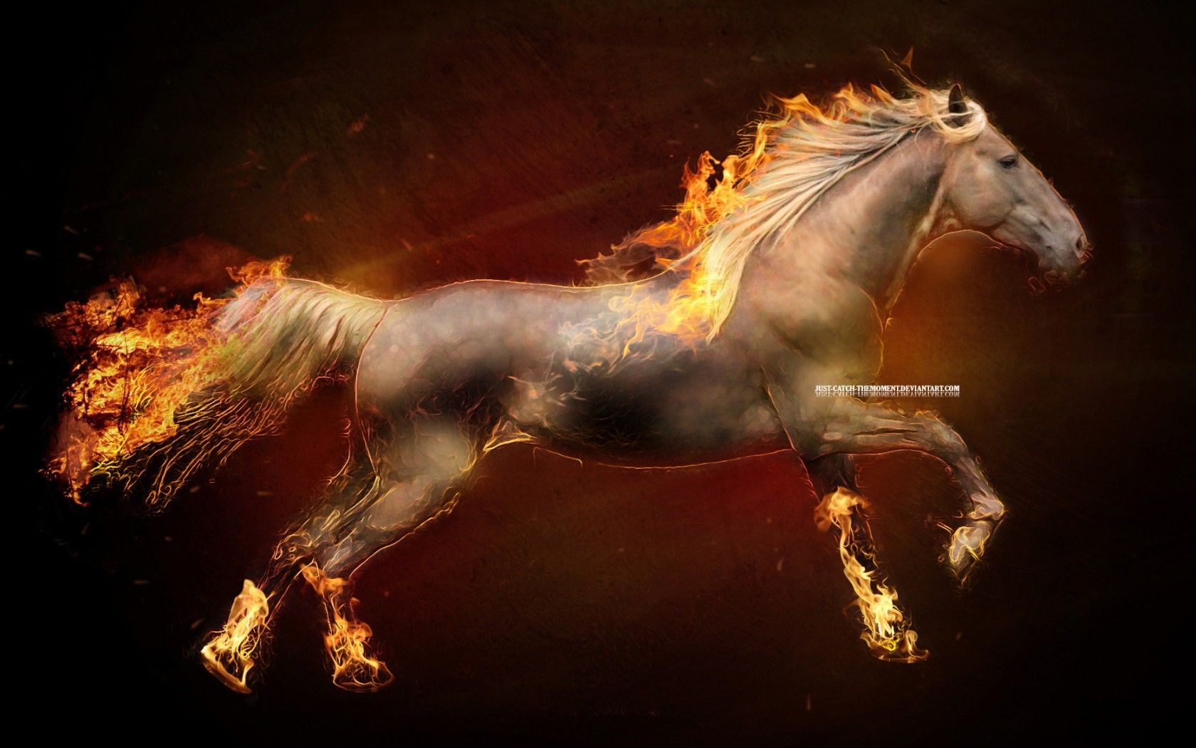 fire horses ponyta High Quality Wallpaper, High Definition Wallpaper