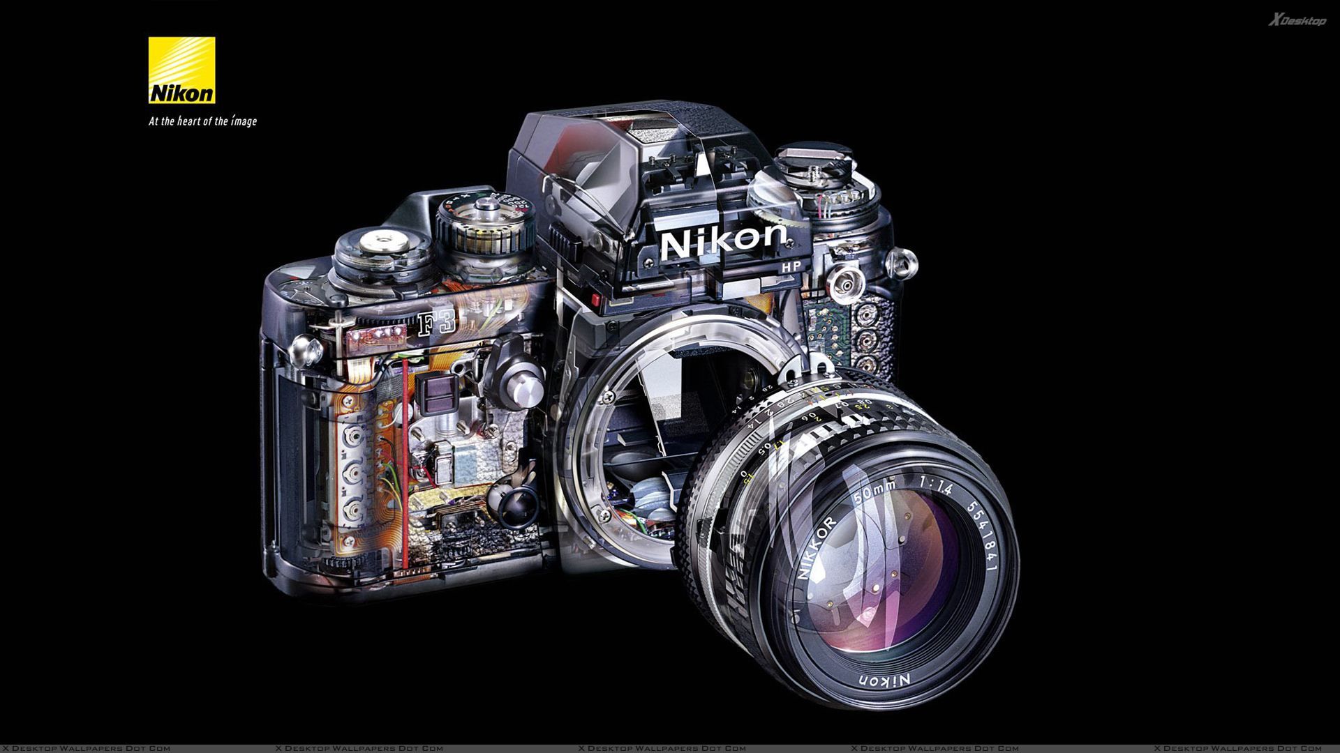 Inside The Nikon Camera Wallpaper