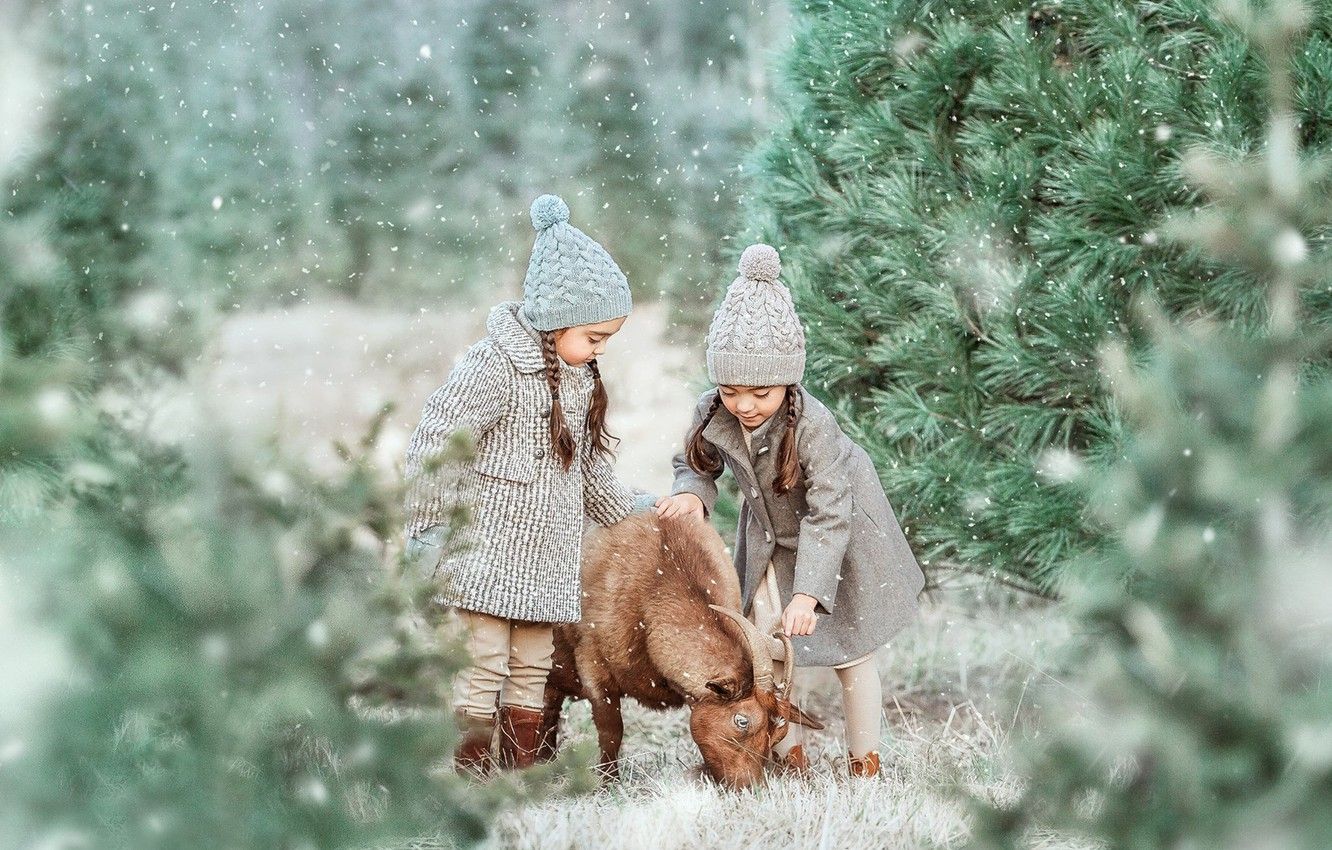 Wallpaper forest, snow, trees, mood, goat, sisters, two girls image for desktop, section настроения