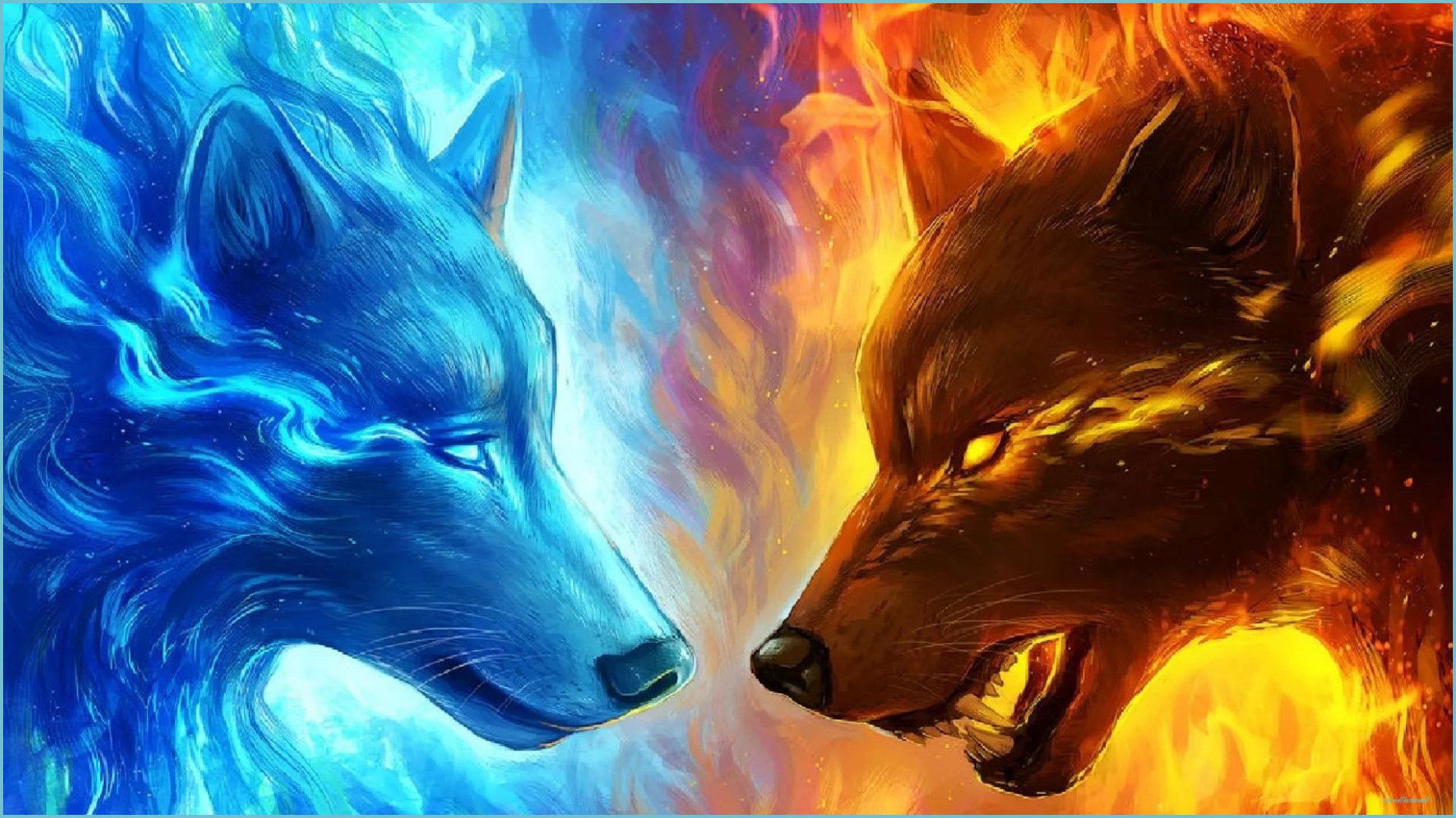 Cool Wolf Wallpaper wolf background