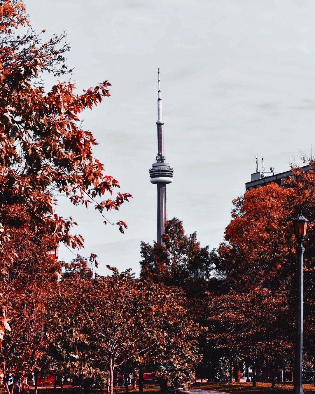 Cn Tower Tower Toronto Light Sky phone wallpaper. Insert your photos, text  ID:432960
