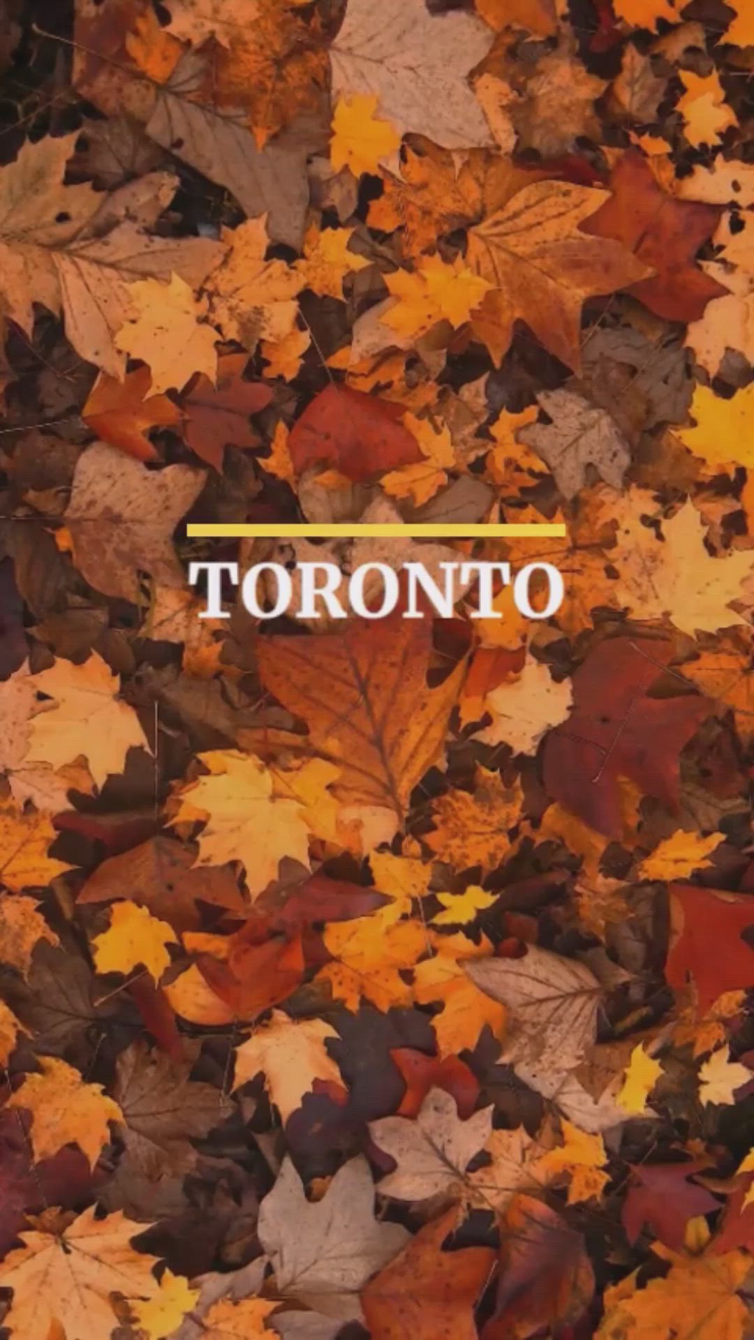 Our Travel Blogging Friends