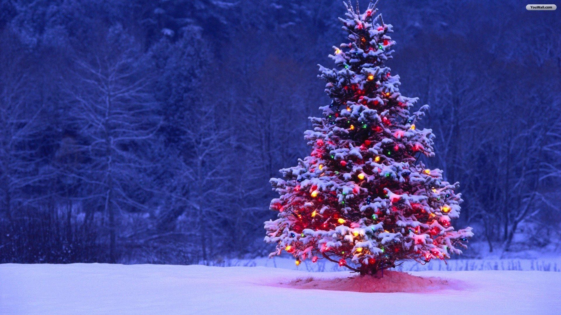 Wallpaper Desktop Christmas
