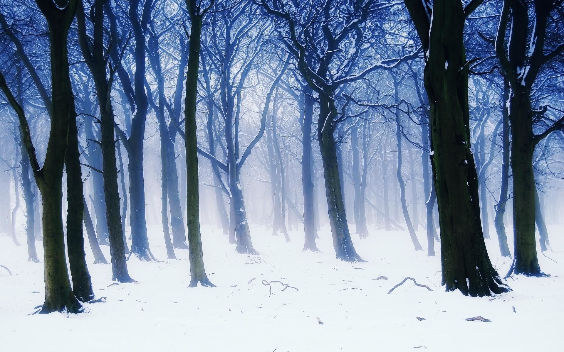 1866 Snow Background Anime Images Stock Photos  Vectors  Shutterstock