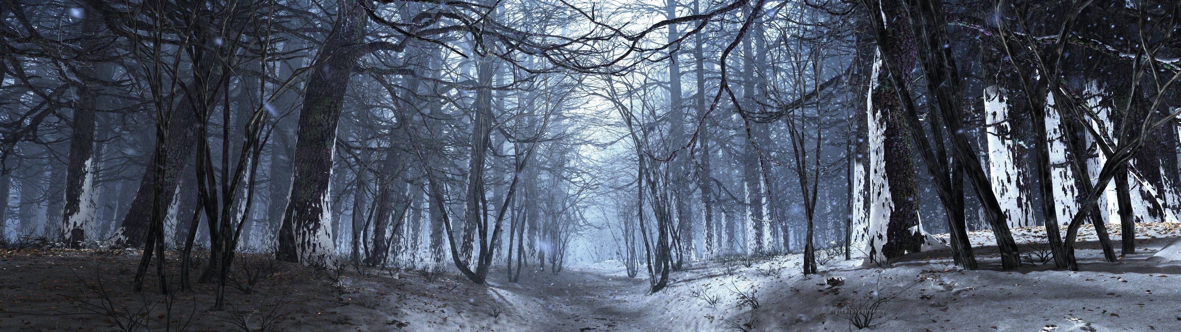 Winter Forest Dual Monitor Wallpaper
