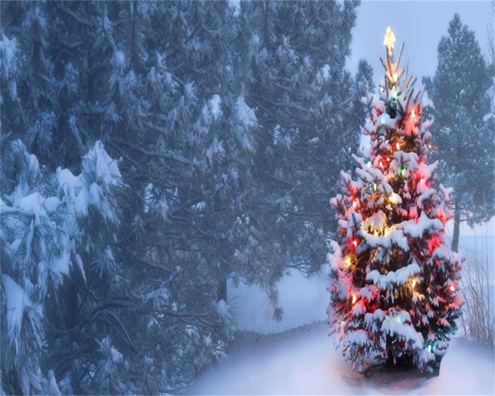 Amazon.com, AOFOTO 10x8ft Snow Covered Christmas Tree Photography Background Winter Outdoor White Xmas Backdrop New Year Kid Girl Boy Lovers Adult Portrait Photo Studio Props Video Drape Wallpaper, Camera