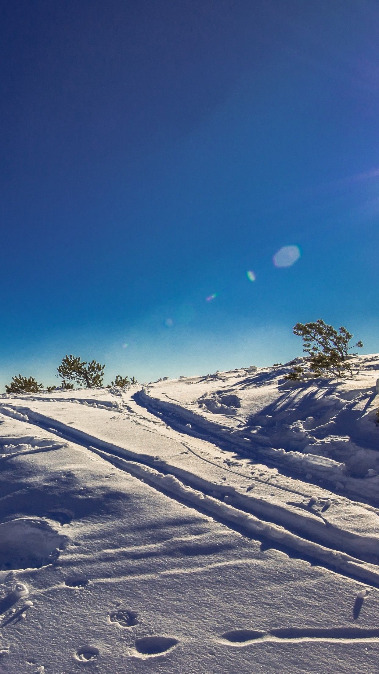 Download wallpaper: Sunny day in this Winter landscape 1242x2208
