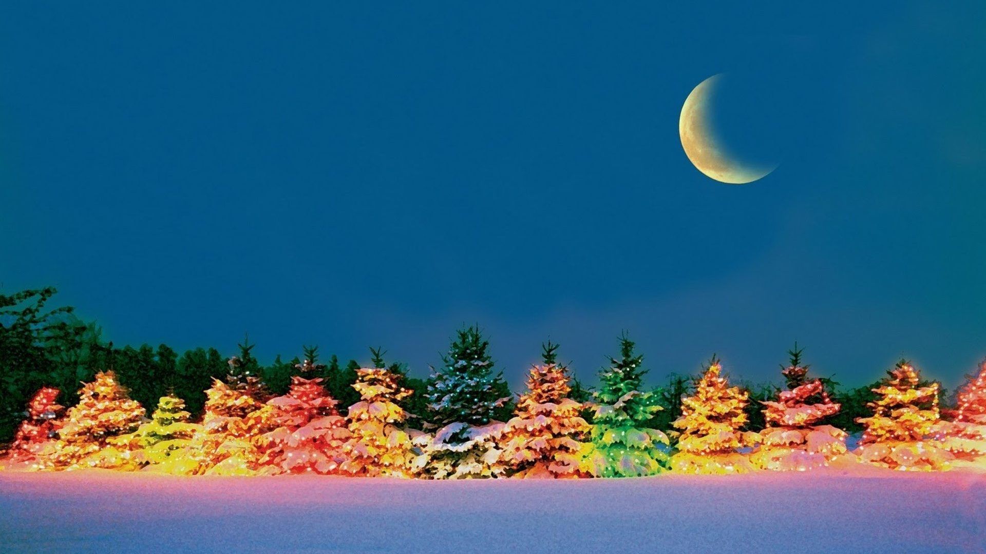 Winter Outdoor Christmas Trees Xtree Xmas New Year Colorful Photography Wonderful Winter Holidays Rivers Love Seasons Night Crescent Moon Festivals Attractions Dreams Wallpaper Hd 1920×1080