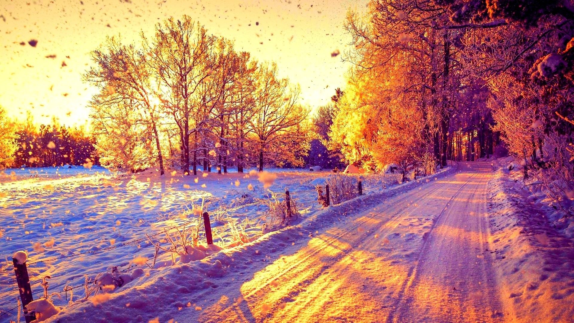 Winter Wallpaper iPhone 6 Plus