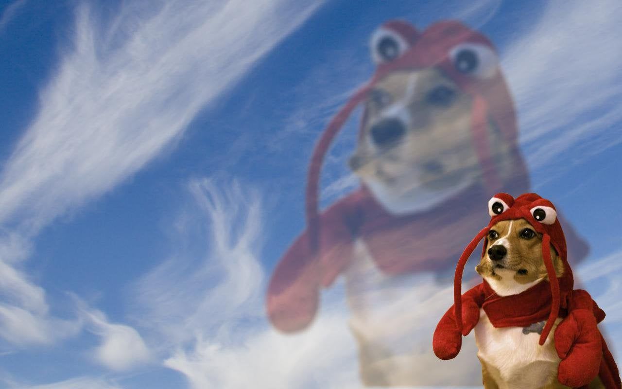 Lobster dog wallpaper, you're welcome