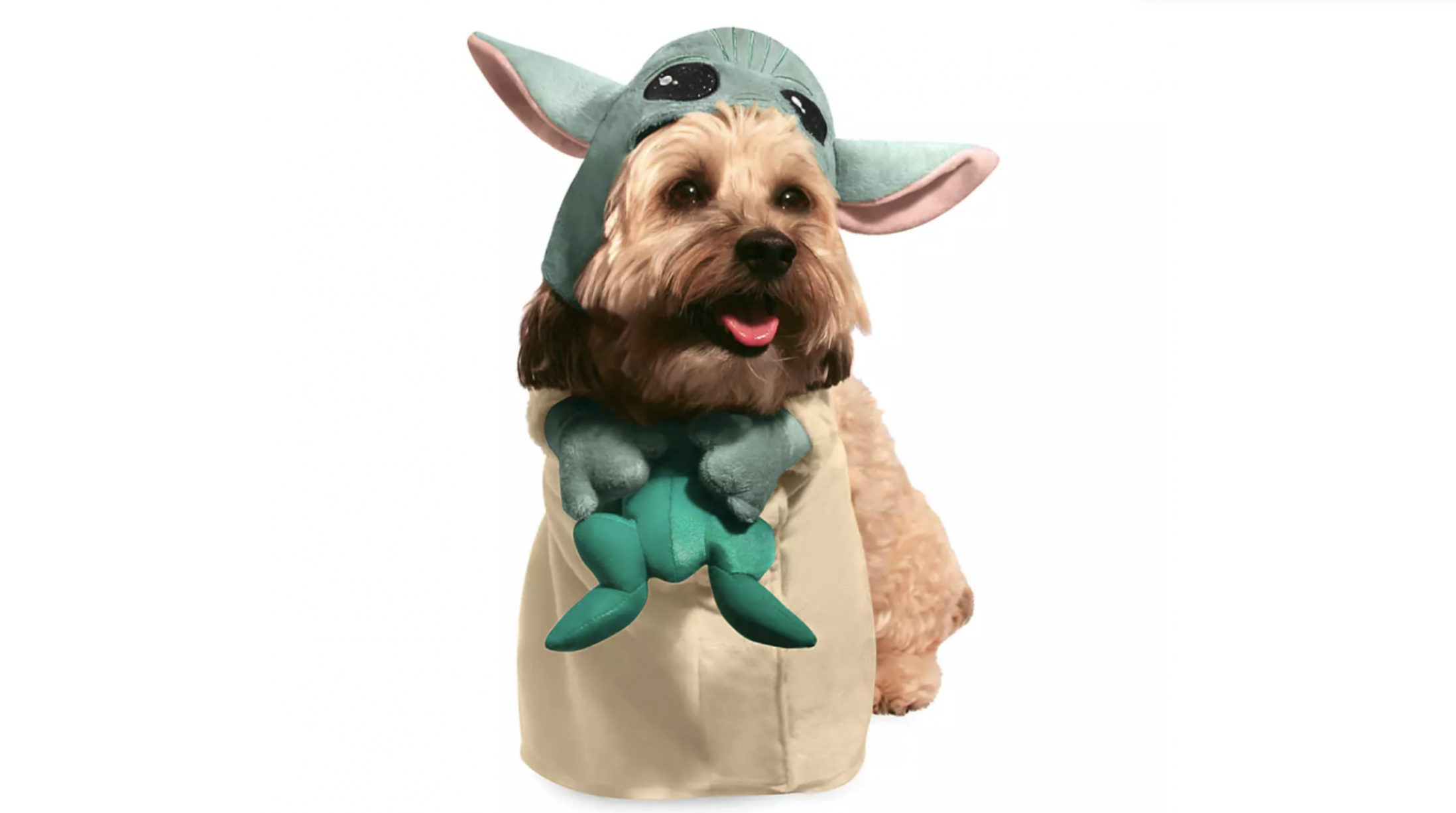 Your Furry Friend Can Dress Up as Baby Yoda (and Much More) for Halloween!