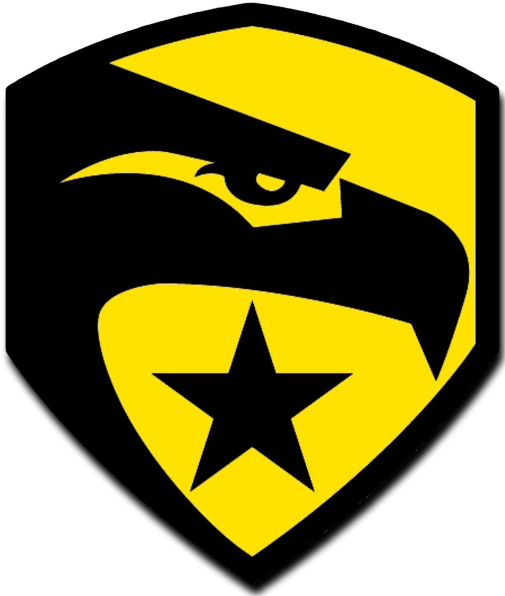 [Single Count Custom and Unique (3 x 3 Inches) GI Joe Eagle Logo with Star Iron On Embroidered Applique Patch {Yellow and Black Colors}. Brasão
